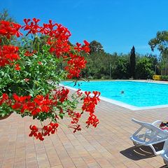 Camping Le Tamerici  - Camping Livourne