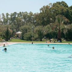 Camping Le Tamerici  - Camping Livourne