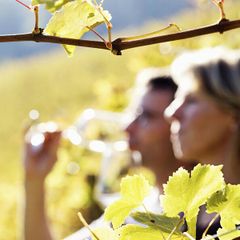 Camping Pianacce - Camping Livourne