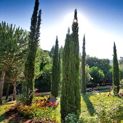 Camping Pianacce - Camping Livourne