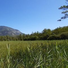 Camping Le Colombier - Camping Ain