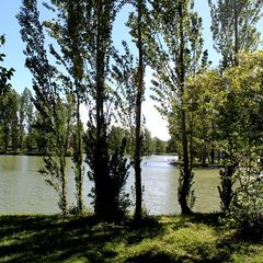 Camping Le Plan d'eau St Charles - Camping Tarn