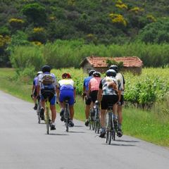 Camping Le Plan d'eau St Charles - Camping Tarn