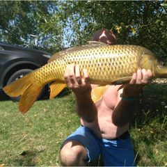 Camping Le Plan d'eau St Charles - Camping Tarn