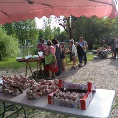 Camping Le Plan d'eau St Charles - Camping Tarn