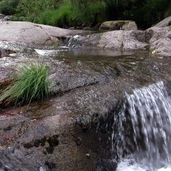 Camping Maceira - Camping Pontevedra