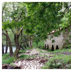 Camping Maceira - Camping Pontevedra