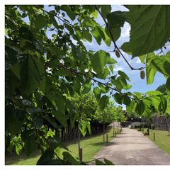 Camping Maceira - Camping Pontevedra