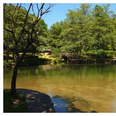 Camping Maceira - Camping Pontevedra