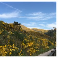 Camping Maceira - Camping Pontevedra