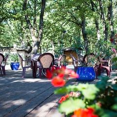 Camping Le Bois Des Ecureuils - Camping Gard Camping Le Bois Des Ecureuils - Camping Gard