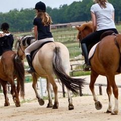 Camping DéfiPlanet' - Camping Vienne