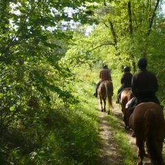 Camping le Bourdieu - Camping Ariege