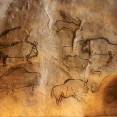 Camping du Lac - Camping Ariege