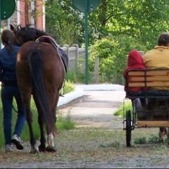 Camping La Minière - Camping Seine-Maritime