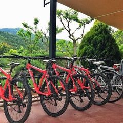 Camping Bassegoda Park - Camping Gérone