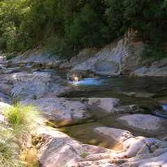 Camping Bassegoda Park - Camping Gérone