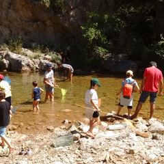 Camping Bassegoda Park - Camping Gérone