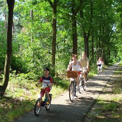 Camping Les Amandiers  - Camping Gard