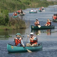 Camping Les Amandiers  - Camping Gard