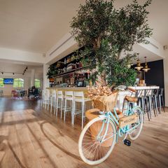 Camping Alannia Guardamar - Camping Alicante