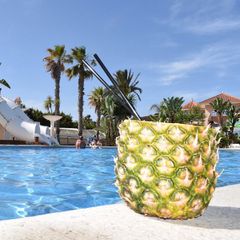 Camping Alannia Guardamar - Camping Alicante