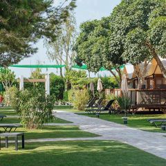 Camping Alannia Guardamar - Camping Alicante