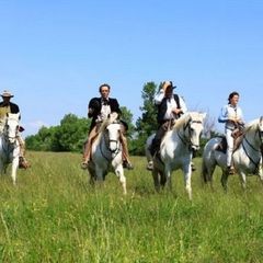 Camping L'Olivier  - Camping Gard Camping L'Olivier  - Camping Gard