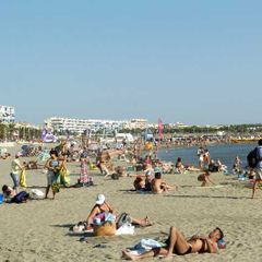 Camping L'Olivier  - Camping Gard Camping L'Olivier  - Camping Gard