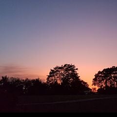 Camping Le Petit Trianon  - Camping Vienne