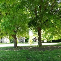 Camping Le Petit Trianon  - Camping Vienne