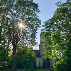 Camping Le Petit Trianon  - Camping Vienne