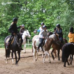 Camping Le Petit Trianon  - Camping Vienne