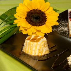 Camping Parco Capraro - Camping Venise