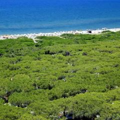  Gitavillage California - Camping Rome