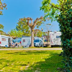 Camping Le Palme - Camping Vérone