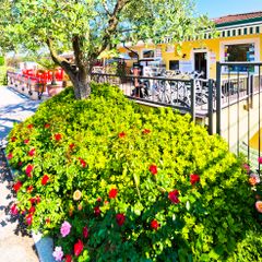 Camping Le Palme - Camping Vérone