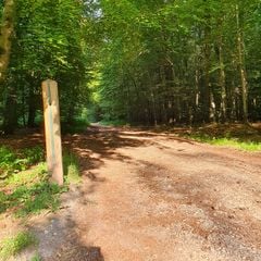 Camping de l'Orival - Camping Seine-Maritime