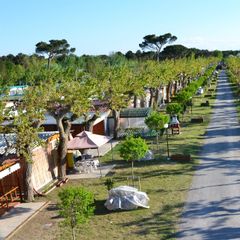 Camping Classe - Camping Ravenne