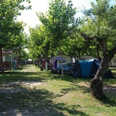 Camping Classe - Camping Ravenne