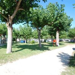 Camping Classe - Camping Ravenne