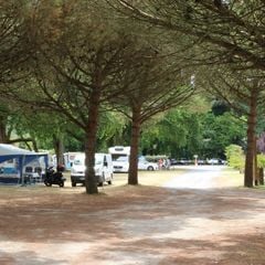 Camping Les 3 Coups - Camping Charente-Maritime