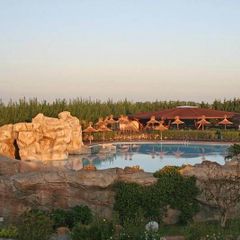 Camping Tahiti  - Camping Ferrare