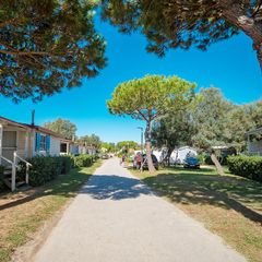 Camping Vigna Sul Mar - Camping Ferrare