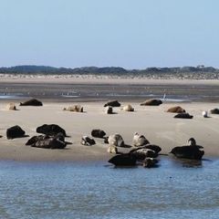 Camping de l'Epy - Camping Pas-de-Calais