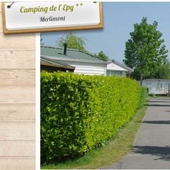 Camping de l'Epy - Camping Pas-de-Calais