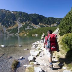 La Forêt - Camping Sites et Paysages - Camping Hautes-Pyrenees