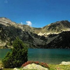 La Forêt - Camping Sites et Paysages - Camping Hautes-Pyrenees