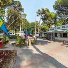 Pineta Camping Village - Camping Ravenne