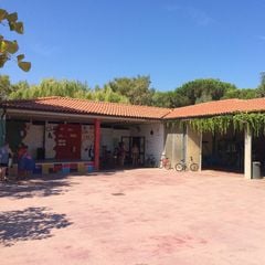 Camping Free Beach  - Camping Livourne